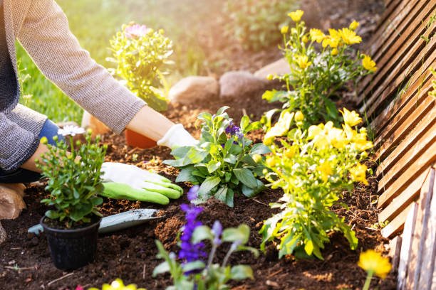 a person tending to a garden