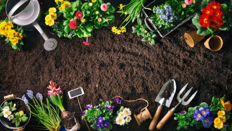 a garden with flowers and tools
