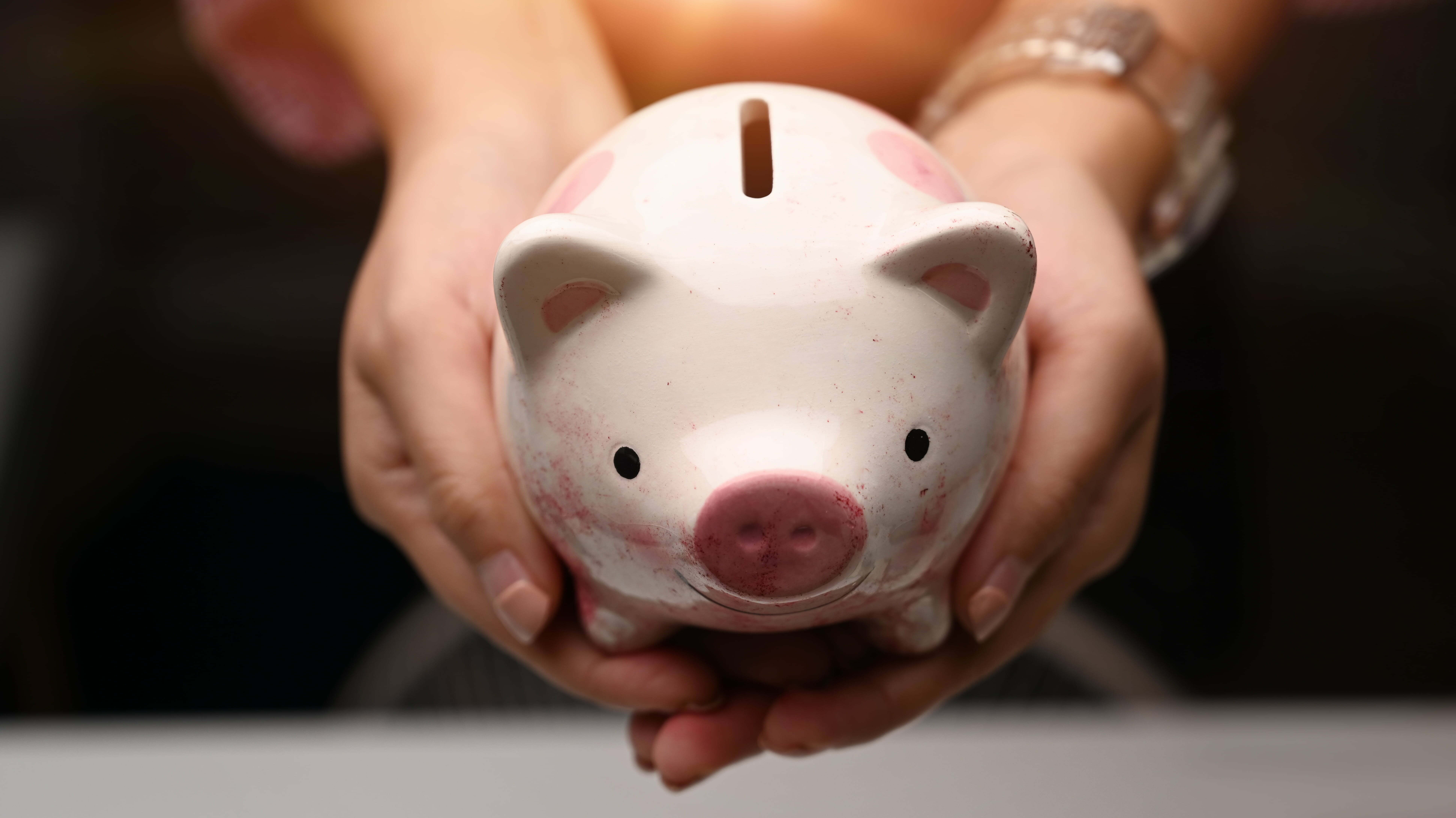 piggie bank